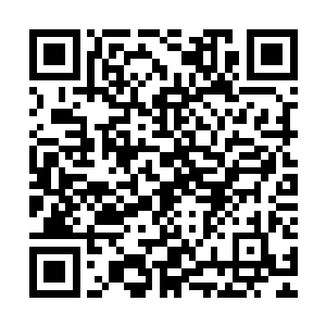 张飘和武东两个人在指挥车里面刻意很是清楚的看到队伍的动向二维码生成