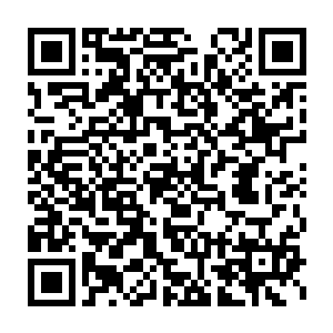 弥补性潜意识可以说是导演与剧本模板师最喜欢的一种潜意识特征二维码生成