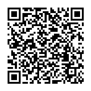 弧形的桌椅配合顶层的虚拟屏幕更方便与会的人们进行各种互动跟交流二维码生成