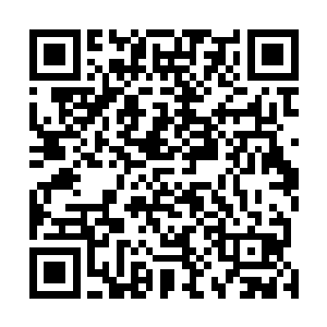 强大的威压顿时将下方即将碰撞在一起的人纷纷镇压下来二维码生成