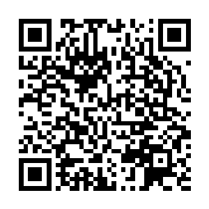 强大的实力以及一颗不怕麻烦的勇敢心智和铁血般的手腕二维码生成