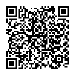 强大的计算机给登记在册的每个三星人都安排了领取注射生命之源的时间二维码生成