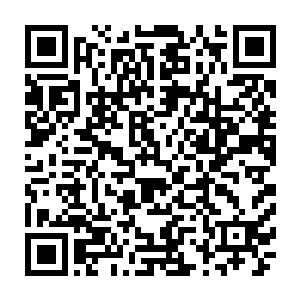 强大的poke火力使得他们即使连眼皮子底下的小龙草丛眼位都无法与对面争夺二维码生成