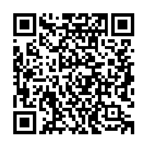 强悍的防御加上强大的雷电攻击使得许德拉现在的实力突飞猛进二维码生成