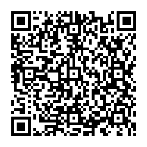 强者也无法对他们造成致命的伤害……除非可以一招将他们十几个人的生命力全部清空二维码生成