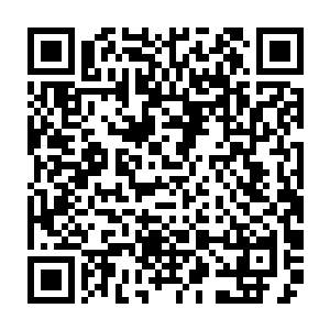 强调培养年轻千部也的确是去年十一月底的中央组织工作会议精神所强调的二维码生成