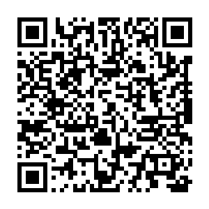 归元神宗宗主擦去嘴角的鲜血看起模样并未再有出手的意味似乎有了收手之心二维码生成