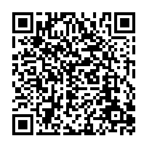 当一眼扫过去并没有发现有什么同学是真的具备表演性质的特长时二维码生成