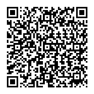 当三者重聚 掌界封界封印便会打开 同一时刻 大劫降临 末日爆发 尸山血海 血流漂橹二维码生成