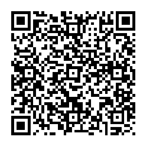 当两人忙完政事回到坤懿宫的时候被告知三王爷的母亲派人给他们送来了满满两大筐的粽子二维码生成