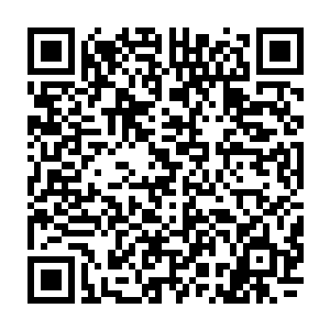 当他们听说林封谨愿意拿自己地盘上的两群海魔王栖息地的捕猎权当做筹码二维码生成
