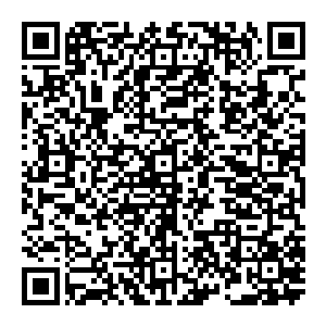 当他们听说这个满是鳞片一样小兜兜的怪异衣服是由美国波音公司设计宇航飞机降落伞的部门专门给洪涛设计制造的之后二维码生成