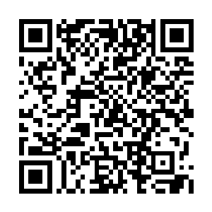 当他们得知海澜门的第一任掌门竟然还在海底中二维码生成