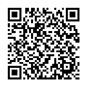 当他们看到地上那根扭曲折断的自来水管时眼里满是不可思议二维码生成