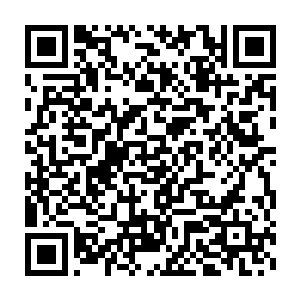 当他们看到秦宇是地仙六重天中期的境界之后便是没有了任何的兴趣二维码生成