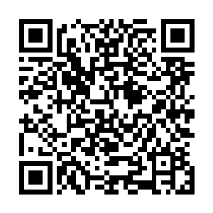当他们看到陈凌拿出深海蓝虎的精灵宝钻时他们全都傻眼了二维码生成