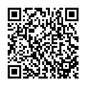 当你们落队找不到队伍或者是想要放弃这次测试的时候就撕开它二维码生成
