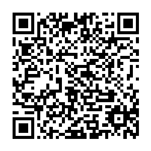 当你的敌人在一场正式比赛中堂而皇之地拿薇恩来打你的强势英雄你气不气二维码生成
