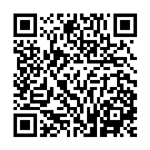 当你身后的名牌被对方撕掉之后你可以用你手里的纸片回到过去二维码生成