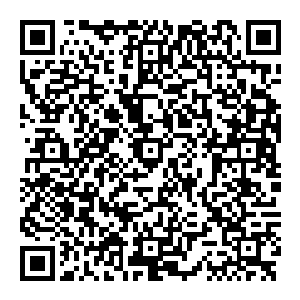 当來到大门之前　他缓缓的踏出脚　当第一只脚落在那门内之时　刹那间传來一股强大的吸力　她还來不及反应　便被吞噬而去二维码生成