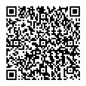 当全世界都开始热炒这款游戏的时候这个世界似乎真的没什么能够阻挡星空集团扩张的步伐了二维码生成