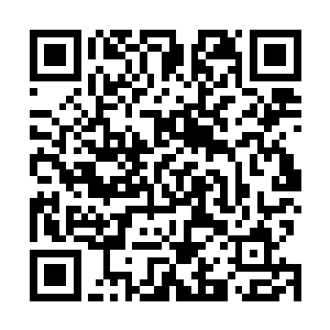 当几十万名妖族精锐和数十名妖皇都出现在血妖之眼中时二维码生成