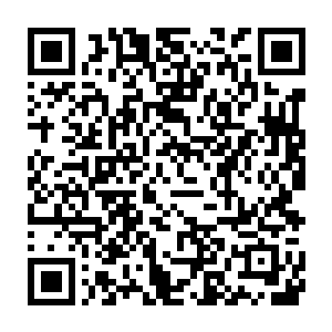 当初也正是因为星辰的追杀你的父母才把你扔到了一个不起眼的地方二维码生成