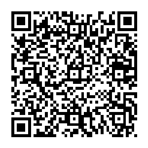 当初他也是依靠五行相生从而转化万物的原理悟出了五行逆转杀灭一切的杀戮之理二维码生成
