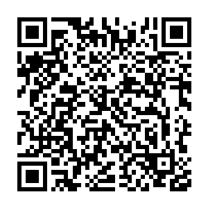 当初他们为了争夺修炼所需的水晶币而和数个大家族打的头破血流二维码生成
