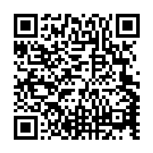 当初印象深刻的不服从主人命令之后所受的痛苦又浮现出来二维码生成