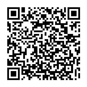 当初可是他拜托雷欢喜无论如何都要对付井上家族这个德川家族的分支的二维码生成