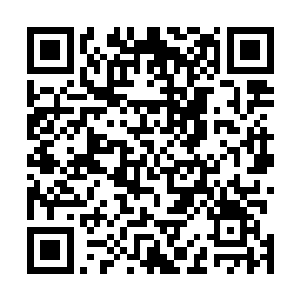 当初在神之城内几乎消耗贻尽的混沌内丹终于再次复苏了二维码生成