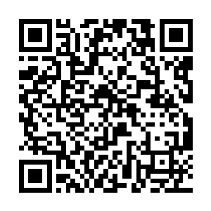 当初流墨墨选择锦玉为目标不过是路过看顺眼的缘故二维码生成