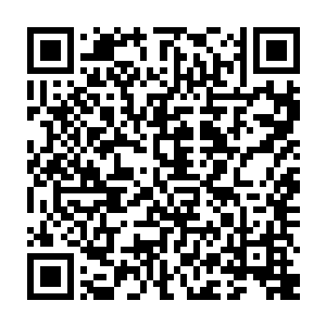 当初的万药宫的宫主在外出游历的时候在一个绝地之中得到了一件至宝万药鼎二维码生成