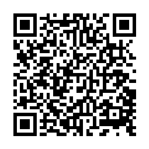 当初的上古毒宗凭借着万毒窟可是屠灭了一个刚晋升的主神二维码生成