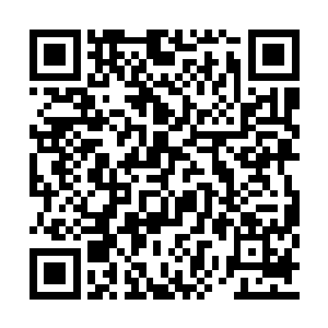 当初离开的时候她跟师父软磨硬泡磨过来的底牌二维码生成