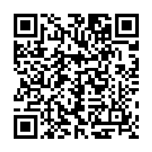 当初第一次正式约会时的那种感觉又悄然在空气之中播撒二维码生成