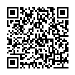当初选举星门门主之位乃是我们几名长老互相将你捧上高位二维码生成