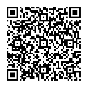 当初风天翔第一次进林欣悦班级的时候没有写这三个林欣悦寝室的姐妹是小风忘记了二维码生成