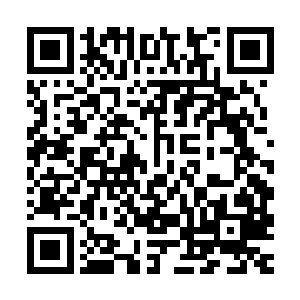 当剧组在举办的招商会上公布出一系列的汽车人和霸天虎的名单二维码生成