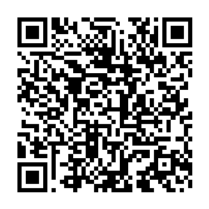 当卡梅隆告诉雨果她想要全程参加荣耀至死的巡演――以歌迷的身份时二维码生成