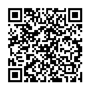 当卢卡斯和荣光又在训练场的角落开始基础练习的时候二维码生成