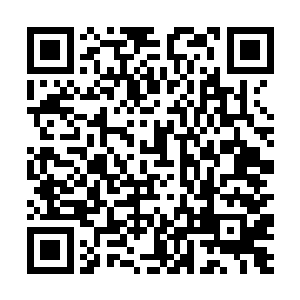 当即和周里乡开发公司签订了建设周丽大酒店的协议二维码生成