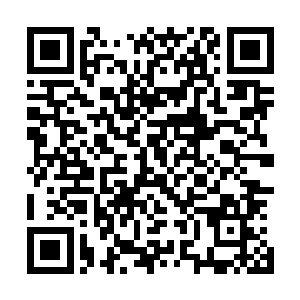 当外面无数人都在关注着暗皇神殿和千林中域的情况的时候二维码生成