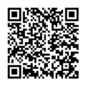当天作出开除决定的荣誉委员会里没有一位学生代表投同意票二维码生成