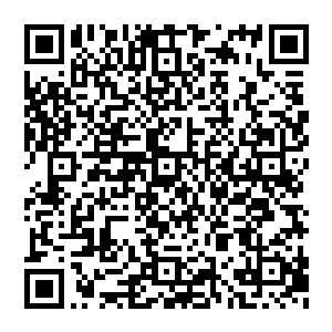 当天夜里 一辆绿色的兰博基尼和一辆红色的法拉利闯过了一个个的红灯 在雨夜里留下了一个个炫目的车尾灯二维码生成