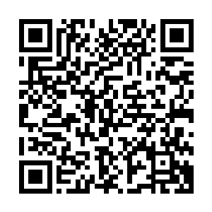 当头就撞在了火化炉的外壁上――砰的一声巨响震住了许泰达二维码生成