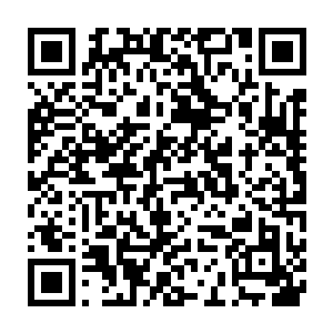 当就打算亲身去体验在这杨晨吹得神乎其神的修炼室中修炼的滋味二维码生成
