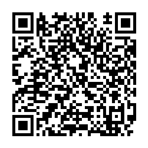 当年他在凡尘界修炼的碎星魔拳便是从这碎星拳拳谱中演化出来的二维码生成