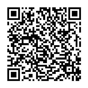 当年就是和这个家伙长的差不多一模一样的家伙将其封印了这些年的二维码生成
